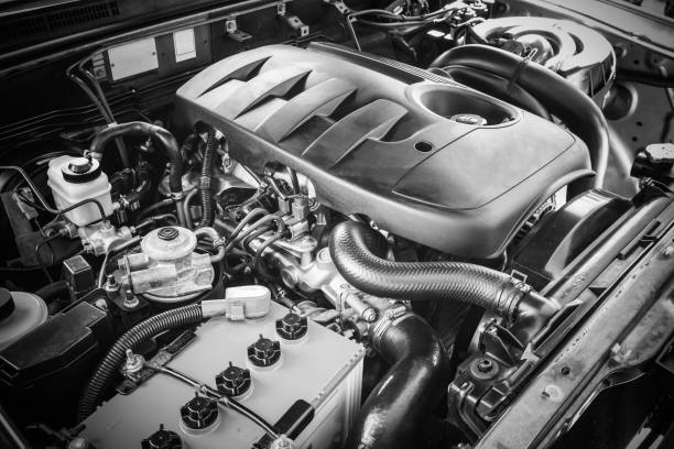 Fuel Filters